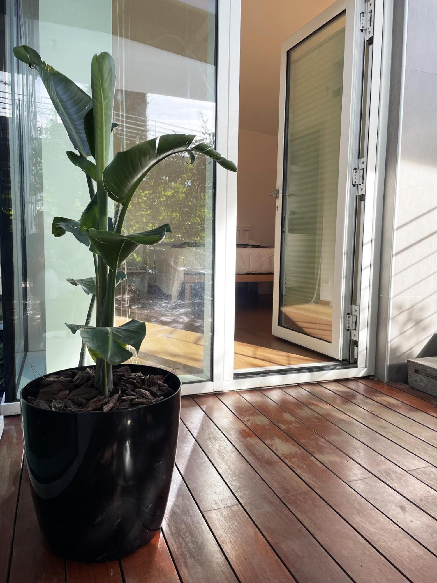 Belvedere House Appartement Rome